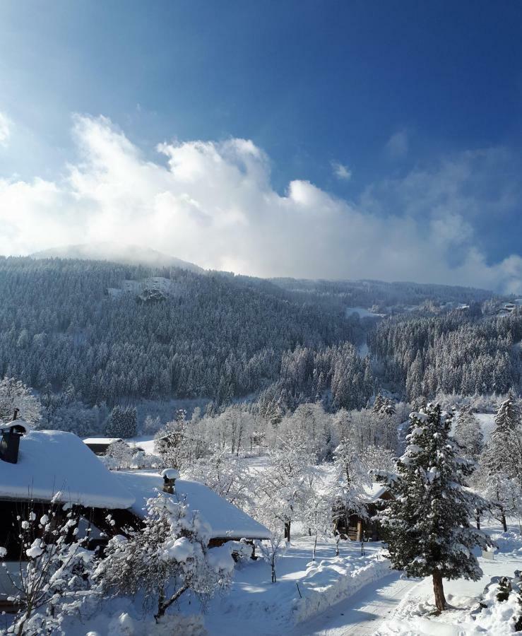 Aschau Im Zillertal Ibex Apart מראה חיצוני תמונה